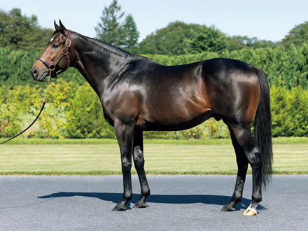 やっちまった速報(ピックアップ6)