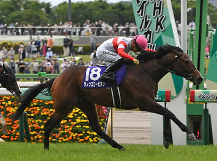 やっちまった速報(最新記事6)