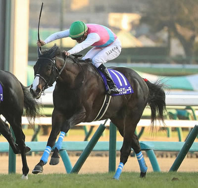 やっちまった速報(最新記事6)