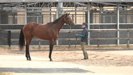 やっちまった速報(最新記事9)