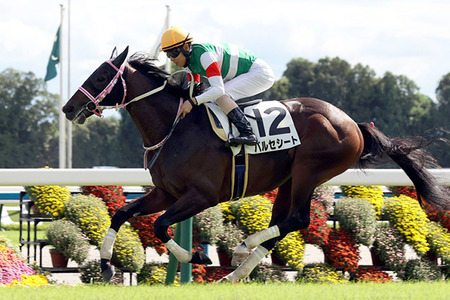 やっちまった速報(最新記事6)