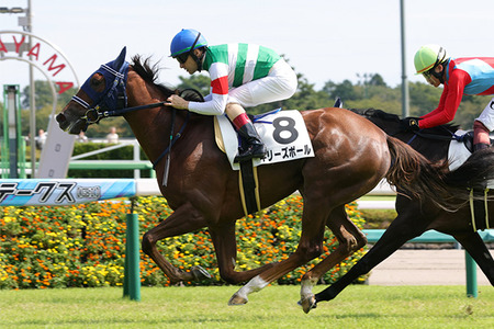 やっちまった速報(最新記事13)