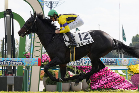 やっちまった速報(最新記事2)