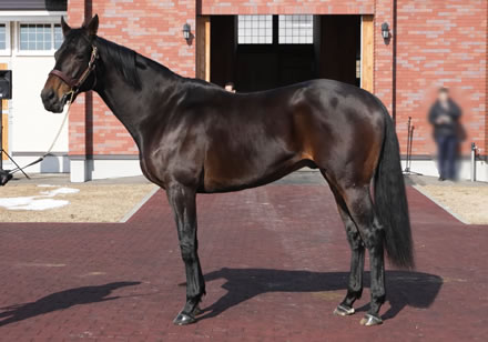 やっちまった速報(最新記事4)