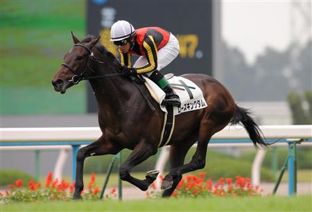 やっちまった速報(最新記事2)