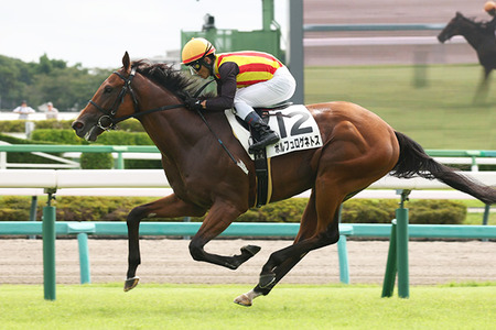 やっちまった速報(最新記事2)