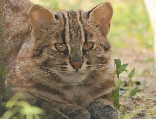 やっちまった速報(画像17045301679051_11)