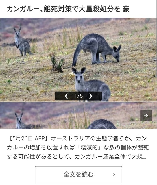 やっちまった速報(画像17045257635939_3)