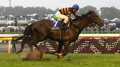 やっちまった速報(最新記事3)