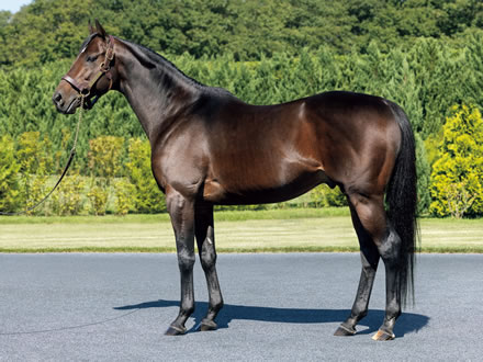 やっちまった速報(最新記事2)