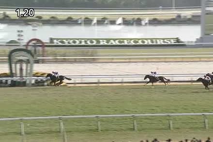 やっちまった速報(最新記事1)