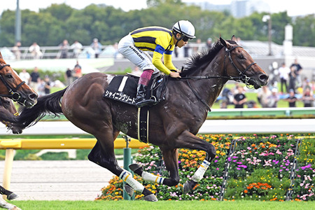 やっちまった速報(最新記事4)