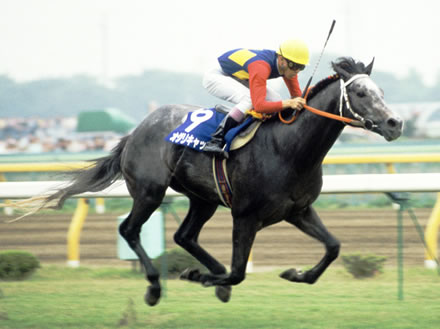 やっちまった速報(最新記事3)