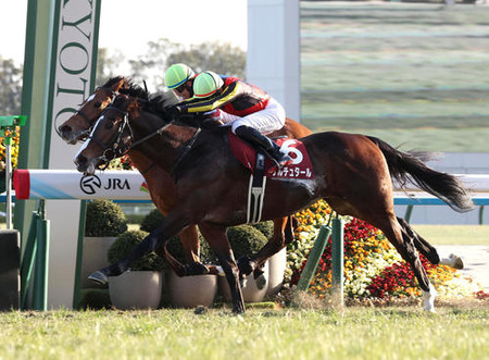 やっちまった速報(最新記事2)