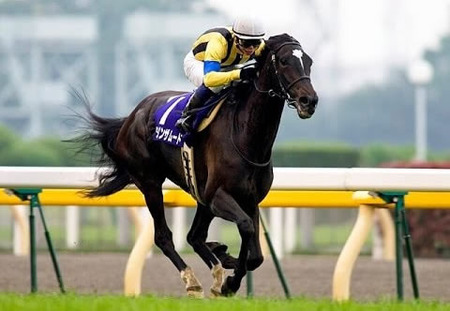 やっちまった速報(最新記事1)