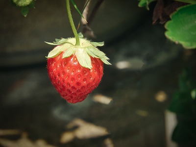 やっちまった速報(最新記事1)