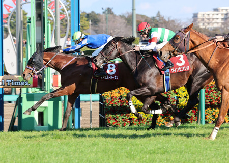 やっちまった速報(最新記事2)