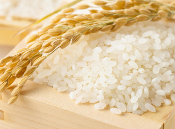 やっちまった速報(最新記事1)