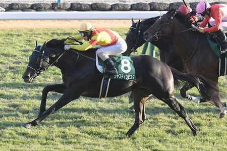 やっちまった速報(最新記事1)