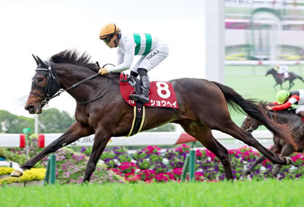 やっちまった速報(最新記事2)