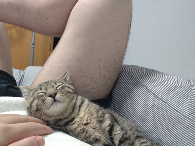 やっちまった速報(画像23234737610482_2)