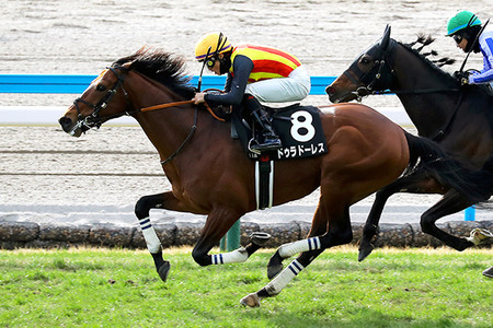 やっちまった速報(最新記事1)