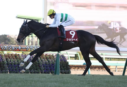 やっちまった速報(最新記事4)