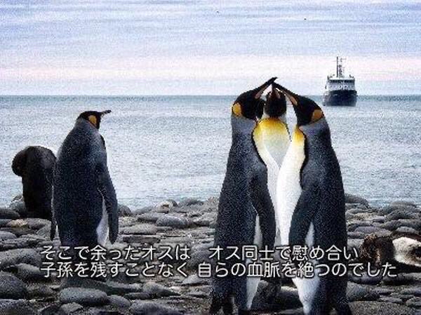 やっちまった速報(画像25222814924766_2)