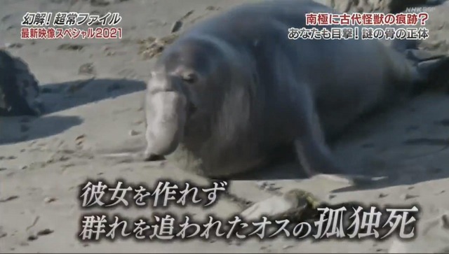 やっちまった速報(画像25222816539347_5)