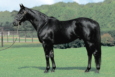 やっちまった速報(最新記事3)