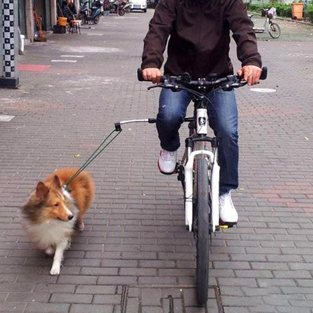 やっちまった速報(画像28061836088270_4)