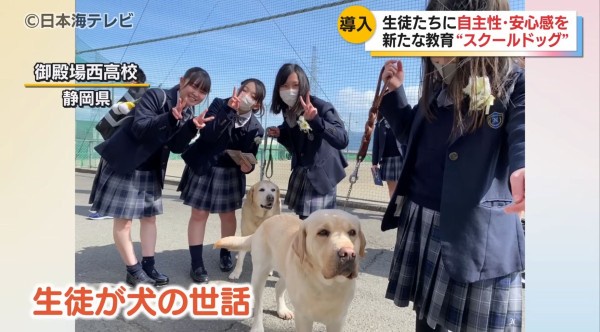 やっちまった速報(画像28211855797152_57) やっちまった速報(画像28211855797152_57)