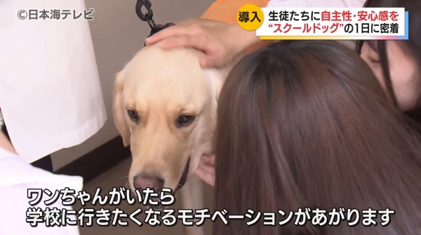 やっちまった速報(画像28211856505352_58) やっちまった速報(画像28211856505352_58)