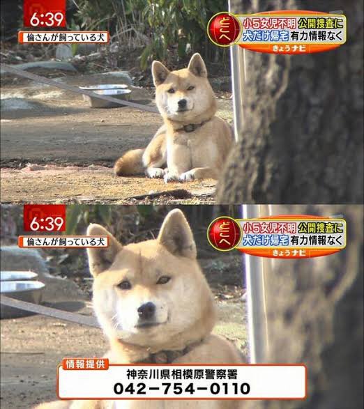 やっちまった速報(画像29141820652183_8)