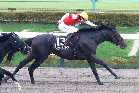 やっちまった速報(最新記事1)