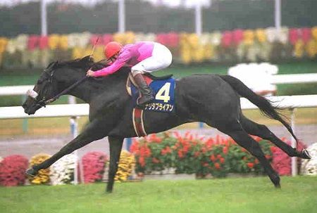 やっちまった速報(最新記事19)