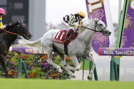 高市早苗、マジのガチで無敵ｗｗｗｗ
 | やっちまった速報(最新記事2)