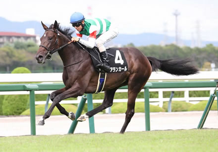 サウジカップデー日本馬19頭が現地に到着
 | やっちまった速報(最新記事2)