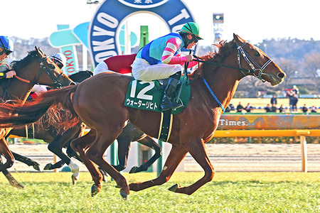 【動画】気が強い大阪の女さん、車の進行妨害をして晒されるｗｗｗ
 | やっちまった速報(最新記事3)