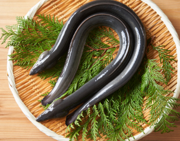 【動画】気が強い大阪の女さん、車の進行妨害をして晒されるｗｗｗ
 | やっちまった速報(最新記事2)