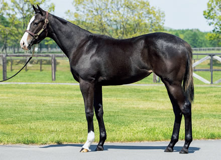 神奈川県川崎市の「GRACE」が2月1日より一時休業
 | やっちまった速報(最新記事3)