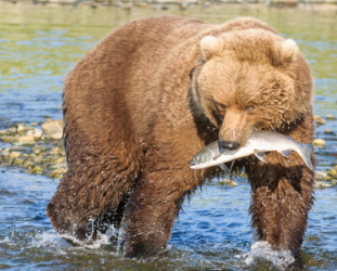 国「辞めさせたい裁判官に✖️を付けてください👤👤👤」ワイ「🤔…」
 | やっちまった速報(最新記事1)
