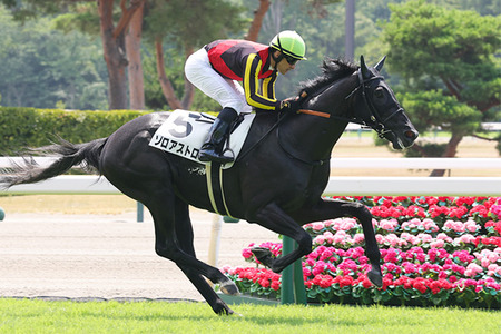 【競馬予想】[2]第76回東京新聞杯(GⅢ) /2026
 | やっちまった速報(最新記事3)