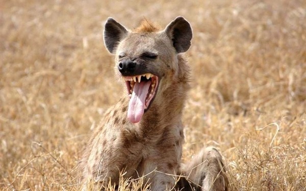 最近パチで勝ちすぎてやばい
 | やっちまった速報(最新記事3)