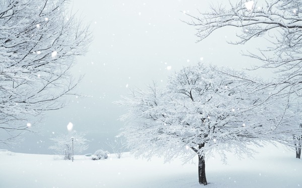 【悲報】MLB完全にビジネス崩壊する。2025年は18億ドルの大赤字になってしまう…
 | やっちまった速報(最新記事1)