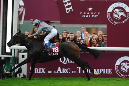 ちょくちょくクラクレ打ってるけど未だに楽しみ方がわからん
 | やっちまった速報(最新記事2)