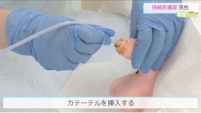 【訃報】シロクマ、強制的に5回射精させられて逝く… | 【訃報】シロクマ、強制的に5回射精させられて逝く… | 【訃報】シロクマ、強制的に5回射精させられて逝く… | 【訃報】シロクマ、強制的に5回射精させられて逝く… | 【訃報】シロクマ、強制的に5回射精させられて逝く… | 【訃報】シロクマ、強制的に5回射精させられて逝く… | 【訃報】シロクマ、強制的に5回射精させられて逝く… | やっちまった速報(画像10155827749075_7)