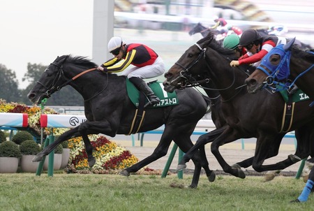 【悲報】デカ乳輪好き、ガチで少数派だった
 | やっちまった速報(ピックアップ2)