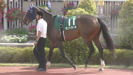 貸した金をパチンコに使われ刺した埼玉県新座市の生活支援施設の男性（29）、初公判で起訴内容を認める
 | やっちまった速報(ピックアップ2)