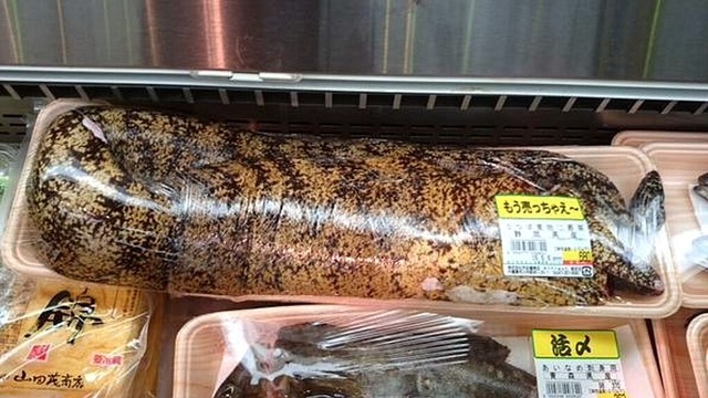 【画像】マンボウさん、いらなさ過ぎて９８円で売られてしまうｗｗｗ | 【画像】マンボウさん、いらなさ過ぎて９８円で売られてしまうｗｗｗ | 【画像】マンボウさん、いらなさ過ぎて９８円で売られてしまうｗｗｗ | 【画像】マンボウさん、いらなさ過ぎて９８円で売られてしまうｗｗｗ | やっちまった速報(画像11194848313346_4)